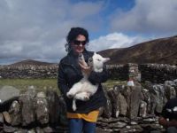 Babyschaf in Irland!